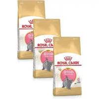 Royal Canin British Shorthair Kitten - Kattenvoer - 3 x 2kg - Brits korthaar