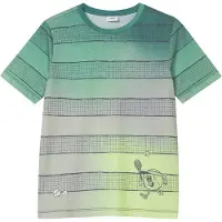 s.Oliver Shirt grijs / groen / neongroen