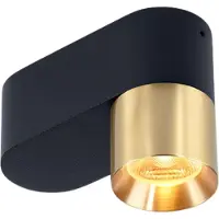 Trizo21 - Audy-Duo 1 up Rounded Spot