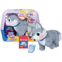 Little Live Pets Ouchies Husky (26680) Interactive Toy Veelkleurig Kinderen