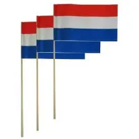 Partyxplosion Zwaaivlaggetjes - Nederland - Papier - 50st.