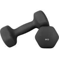 Songmics - Dumbells - Halterset 2 Stuks - Neopreen Coating - Voor Thuis Fitness