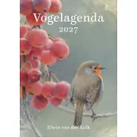 Comello De Vogel Agenda 2027
