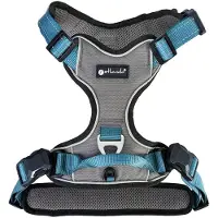 Petlando Hondentuig Antraciet/Petrol met magnetische sluiting - maat M- 56 – 68 cm