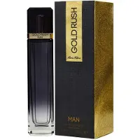 Paris Hilton Gold Rush Man Eau de Toilette 100 ml