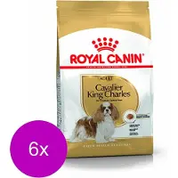 Royal Canin 6x Hondenvoer Droog Cavalier KC Adult 1,5 kg