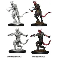 WizKids D&D Miniatures Tiefling Male Rogue - EN