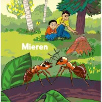 Lumina Mieren (Hardback)
