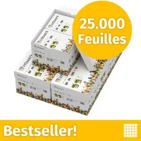 Infowerk Printpapier Kopieerpapier 25000 vel 50 x 500 A4 Premium Hoogwit CIE 160 Testwinnaar PEFC gecertificeerd