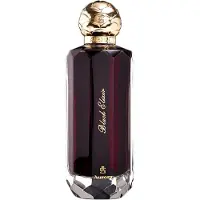 Aurora Black Elixir Eau de Parfum voor Mannen 100 ml