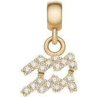 Daniel Wellington CRYSTAL ZODIAC DW00400764 GOLD-PLATED WATERMAN BEDEL MET ZIRKONIA'S 1 STUK