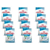 Royal Canin X-Small Puppy - Hondenvoer - 12 x 500 g