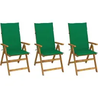 vidaXL Set van 3 klapstoelen met kussens, gemaakt van massief acaciahout.