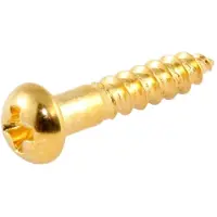 AllParts GS0006002 Gouden Lange Machinekopschroeven - 16 Stuks
