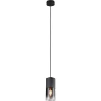 TRIO 310600132 Hanglamp Robin Zwart