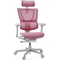 Hjh OFFICE Bureaustoel / Directiestoel ERGOHUMAN SLIM G GEN2 Netstof roze
