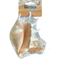 Superfish Aquarium Decoratie Schelp Spider 150 G
