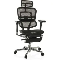 Hjh OFFICE Bureaustoel / Directiestoel ERGOHUMAN PLUS LEGPRO GEN2 Netstof zwart