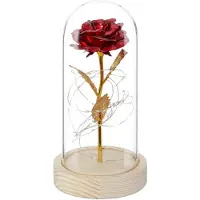 Relaxdays eeuwige roos in stolp - kunstbloem met LED-lampjes - sokkel - verjaardagscadeau - rood-goud