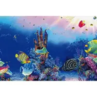 Superfish Aquarium Decoratie Poster F1 Multi 60 X 30 Cm