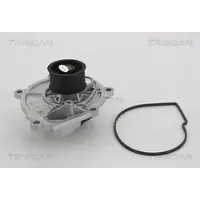 TRISCAN 8600 80009 Waterpomp