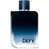 Calvin Klein Defy Eau de Parfum 200ml Spray New Sealed