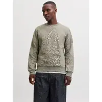 Jack & Jones Sweatshirt 'JJCLEVELAND' riet