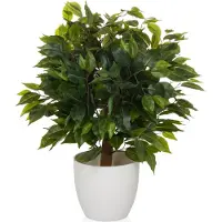 Hjh OFFICE Kunstplant / kunstboom FICUS II 65 cm groen