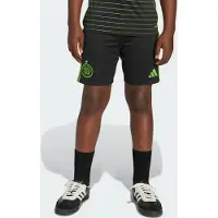 Adidas Celtic FC 25/26 Uitshort