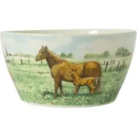 Wiebe van der zee Kom 13 cm Paard