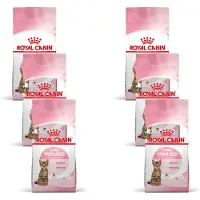 Royal Canin Kitten Sterilised - Kitten-Kattenvoer - 6 x 400 g