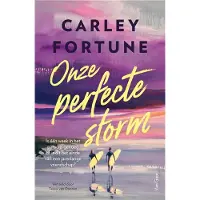 Van Goor Onze perfecte storm (Paperback)