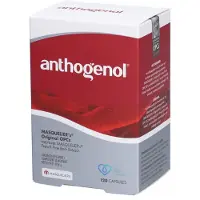 Masqueliers Anthogenol