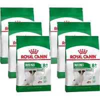 Royal Canin 6x Hondenvoer Droog Mini 8+ 2 kg