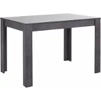Loft 24 Lynn|Eettafel 120x80 cm 6 plaatsen in Leisteen MDF