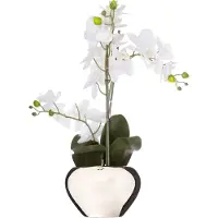 Atmosphera Orchidee bloem kunstplant - wit - H56 x B40 cm - in luxe zilveren pot