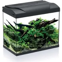 HS Aqua Aquarium Platy 30 LED | 30L | 39 x 22 x 36CM Zwart Compleet