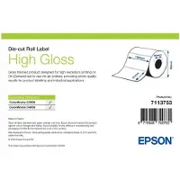 Epson 7113765 high gloss label 105 x 210 mm (origineel)