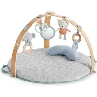 Ingenuity Baby activity gym loamy - - vanaf 0 maanden