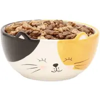 Winkee Kat Schaaltje van