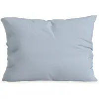 Zelesta Special Mousseline Kussensloop Set Van 2 - Licht ijsblauw 60x70cm