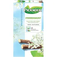Pickwick Thee Sterrenmunt - Pak 25 zakjes