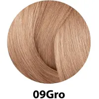Redken Shades Eq Bonder Inside #09gro 60 Ml X