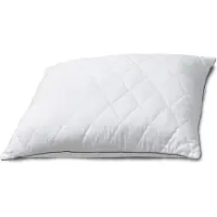 Zelesta Pillow 40x60cm