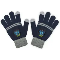 Cinereplicas Harry Potter - Ravenclaw / Ravenklauw handschoenen en muts kids
