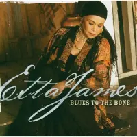 Bertus Distributie Blues To The Bone