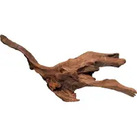 Aquadistri Mangrove aged wood medium