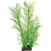 Superfish Aquarium Decoratie Kunstplant Ceratopteris Groen 8 X 12 X 40 Cm