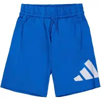 Adidas Broek 'Essentials' blauw