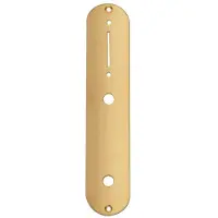 Boston CP-TE-AG Controleplaat - Goud, 32x160mm, voor Inch Potmeters